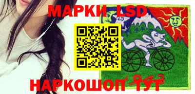 молекула духа Пугачёв