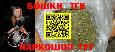 индика Пушкино