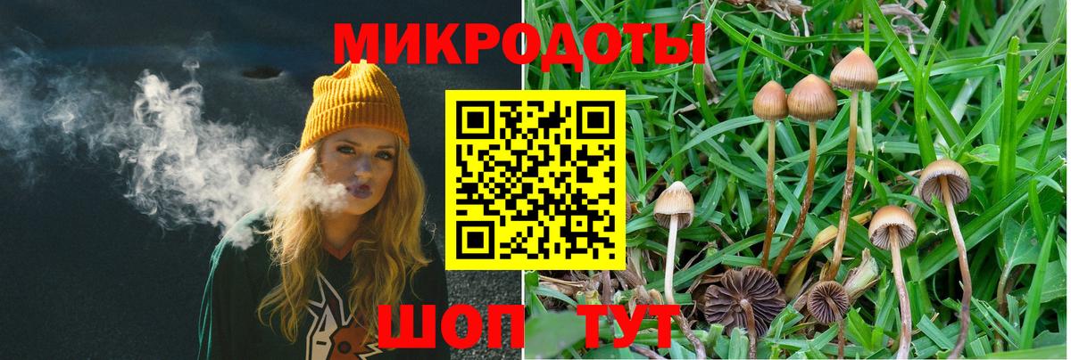 Галлюциногенные грибы мицелий  Вход с VPN  Сургут 